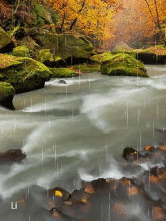 1392057.gif