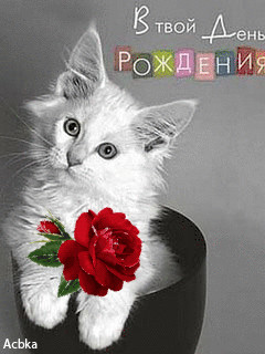 1363102.gif