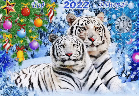 Год Тигра 2022.gif