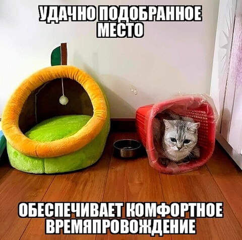279d1205-5cd9-47f4-b642-d70c1c1168d2.jpg