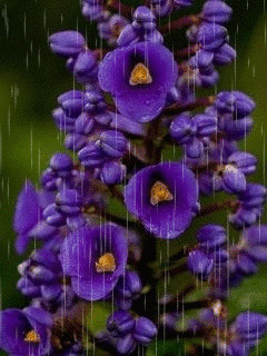 1346185.gif