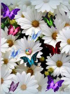 1394075.gif