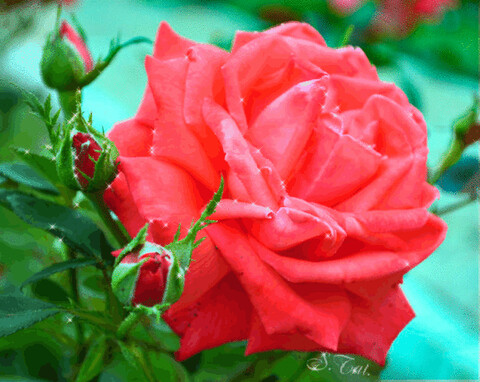 23d04443de66470cf39e7df4f2cc4cb3.gif