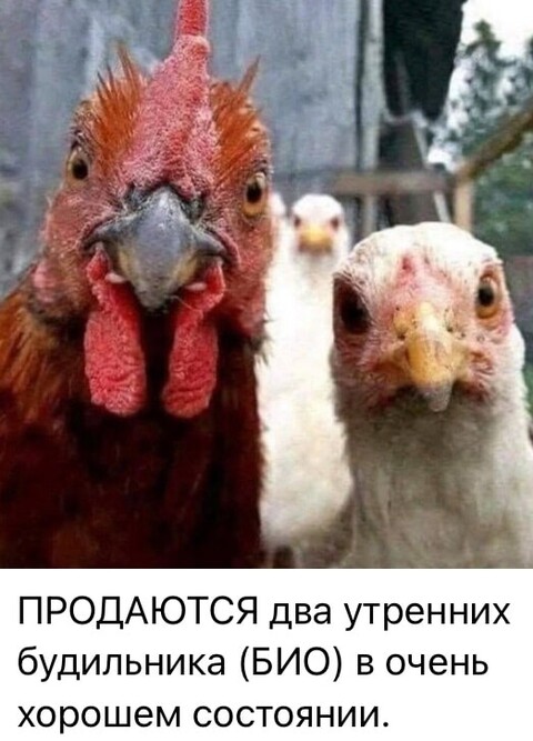 c1016371e7e5bdb3f12eae50cafddb35b2d6839f76672488a9181e4fe48e1a75 1 jpg 1.jpg