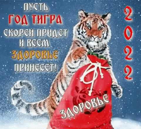 IMG 20211226 013242.gif