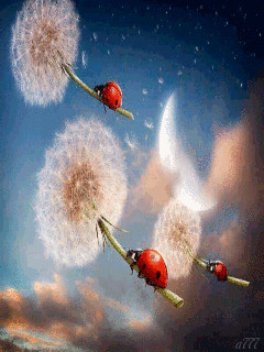 1336053.gif