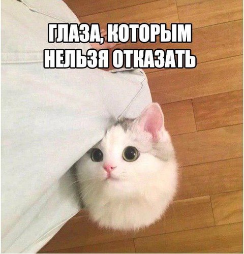 lqydS DlAmc.jpg