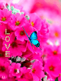 1231895.gif