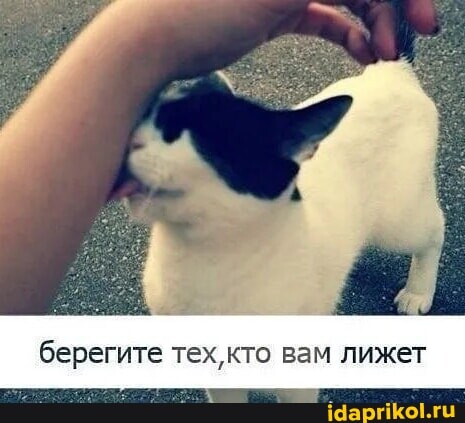 b7062f5586fe987acc710ae22f21160789feba9e2e6e56229427ca82fa82a13b 1 jpg.jpg