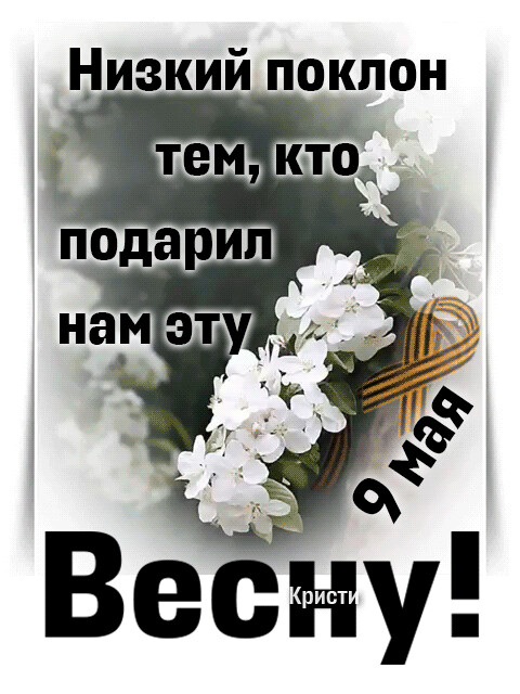 GIF-a1005784b0bd5a2abfdf6fafc7064208.gif