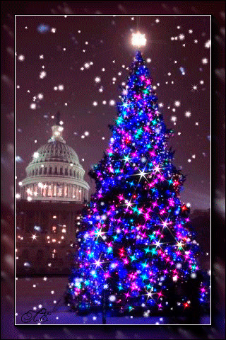 bd421de98d18994245853d73282615b5.gif