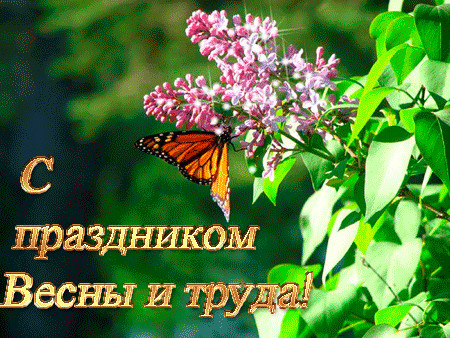 1246787.gif