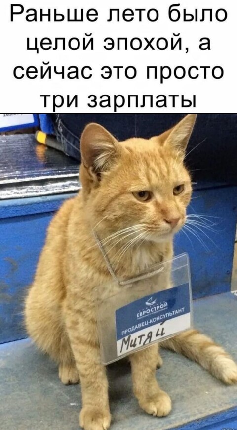 79b0e82f-fd62-4a7a-809c-04a3226e0afb.jpg