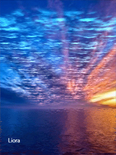 1380064.gif