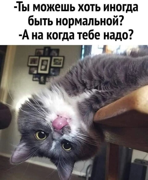 2f893398-3c09-48d2-9a88-09532ae57d1a.jpg