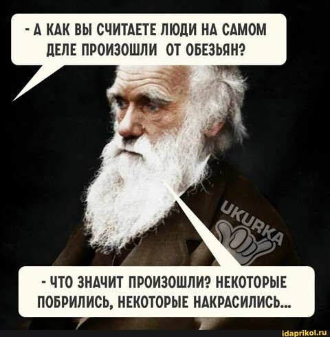 afb9e2602e3749348ce0b61bf4bdfc020dfaa643109331e2ca3c41b8d4dba812 1 jpg.jpg