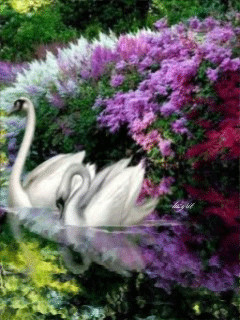 1237251.gif