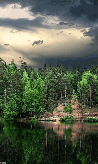 29abc40cfc7c56a2f12011aa7c5d3da7.gif