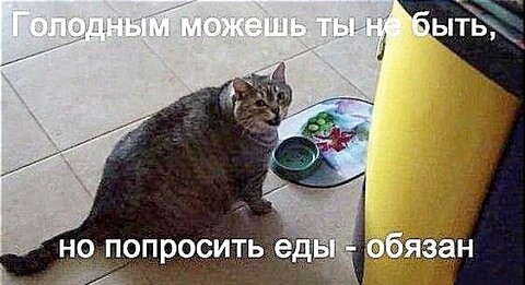 b104cafe-11e8-489a-b299-99ea6b3ba7f9.jpg