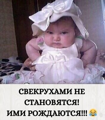 ac96efc299e0e83f79aff8e5f6c9226d66b7f23ea71b94c709f945f4e179c044 1 jpg 1.jpg