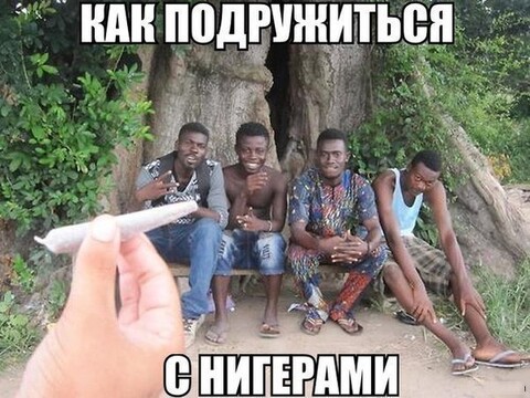 ad389ff03761e38583835d1c8e62a0e1-world17 spcs bio.jpg