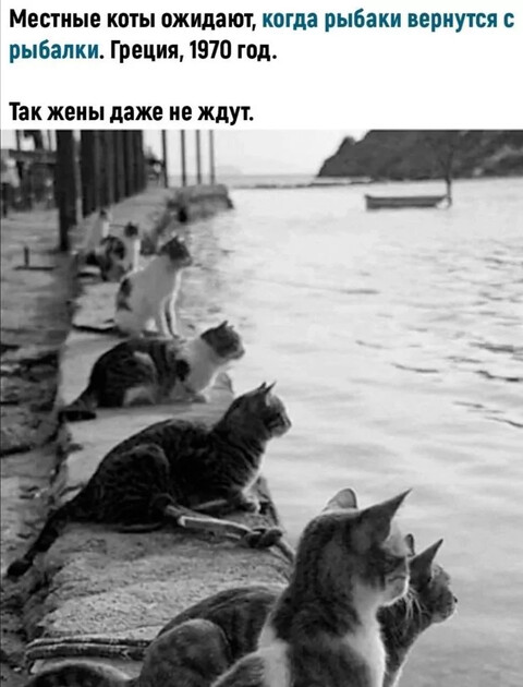 387998332 p 1200 1200 0.jpg