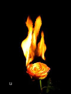 1398475.gif
