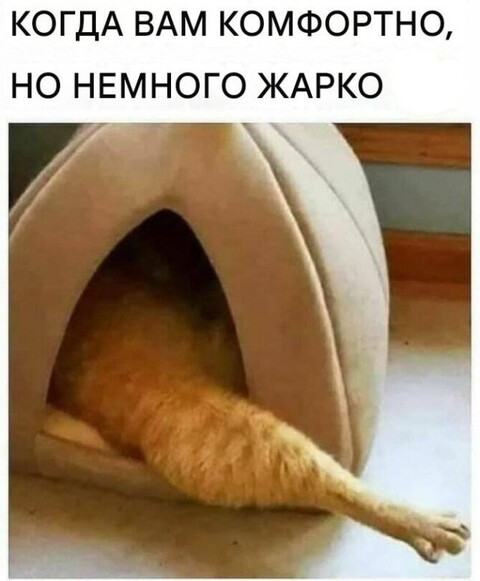 cc76e68a6ec93a8e859b78c8aa7e0a82670fa9d3d6c74f7f490f77f72a580135 1 jpg 1.jpg