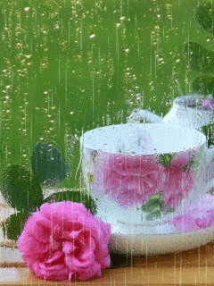 1361868.gif