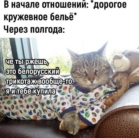 2cf6032c-3640-497b-9974-8e543e876e78.jpg