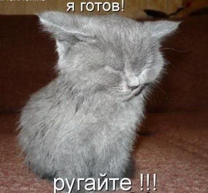Ругайте.jpg