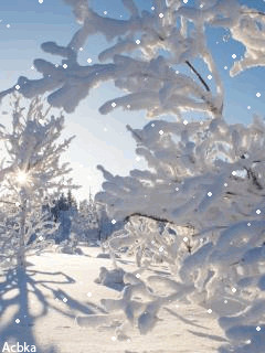 1361469.gif