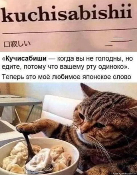 20220202 201749-.jpg
