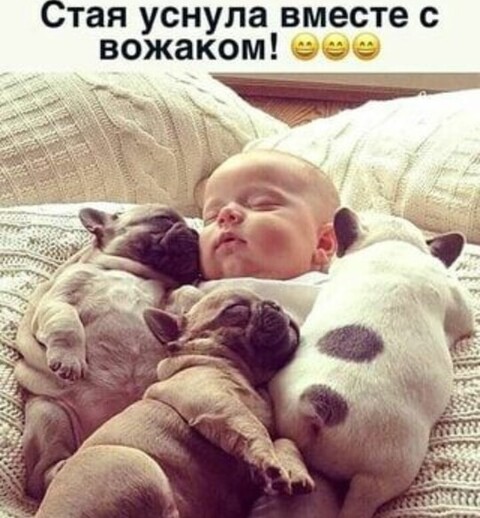 77baa9c5-cfe0-44ae-8204-6ec4c2912933.jpg