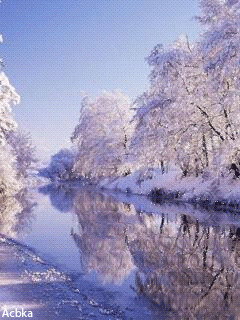 красивая зима.gif