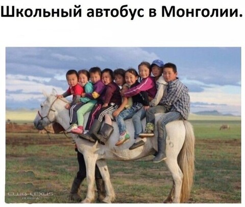 1604154745572 image.jpg