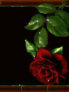 1400376.gif