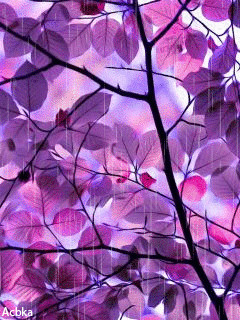 Яркие листья.gif