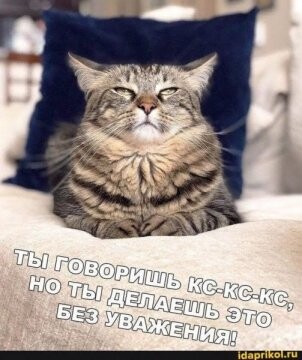 315258197 p 0 360 0.jpg