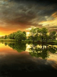 1396205.gif