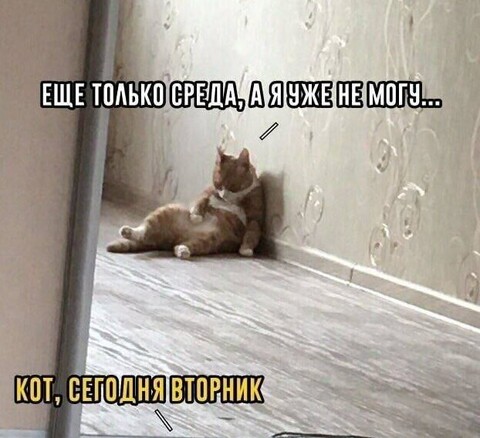 63198954-aa8b-4398-9dab-bb5292fe1250.jpg