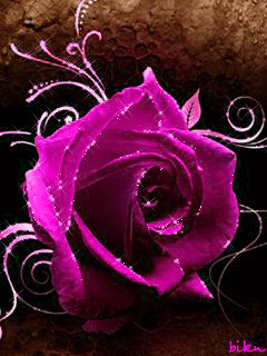 20161224 905560704.gif