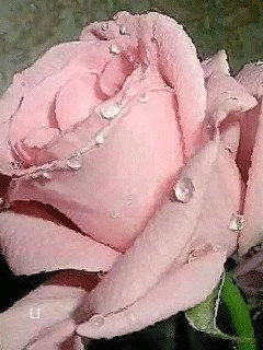 1400726.gif