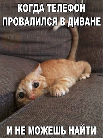 qaPo2ZrMvyU.jpg