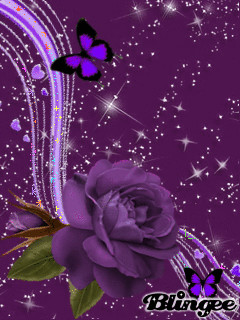 1371560.gif