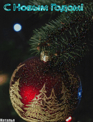 1517286.gif