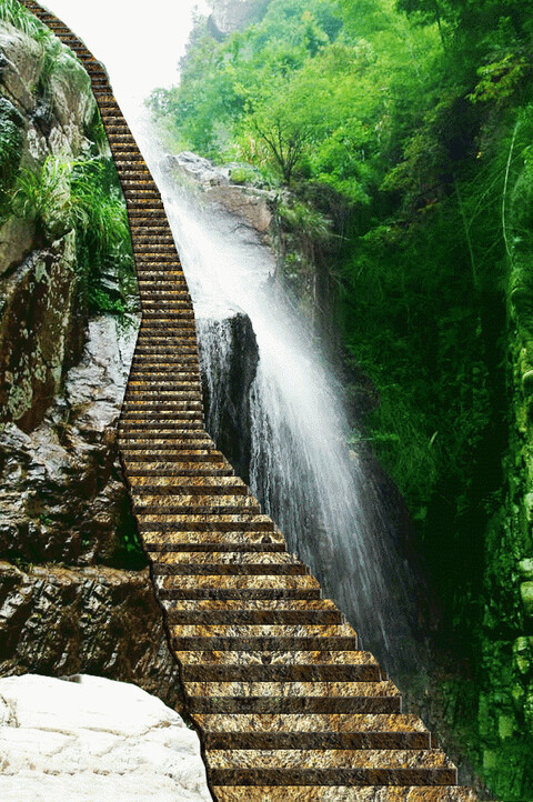 99ca7fe26eda54e40eabf36baee36255.gif