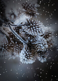 63b65af03a82e49d152e84a4ad75f0ff.gif