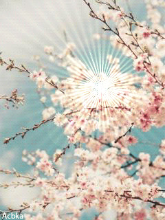 1313430.gif