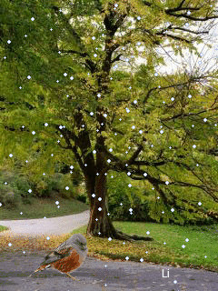 1400785.gif